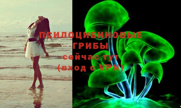 СК Абдулино